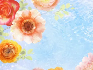 图片设计素材背景鸟语花香