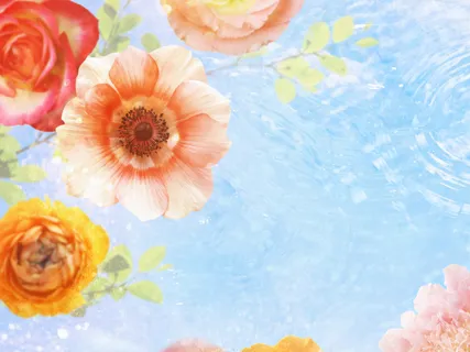 图片设计素材背景鸟语花香 图片设计素材背景鸟语花香