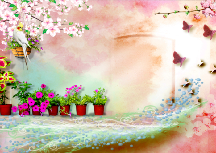 油画粉色花卉花鸟背景psd模版下载