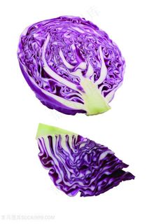 新鲜的素食甘蓝