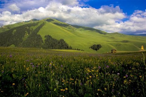 新疆班禅沟风景素材
