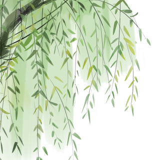 春天绿色春季水墨柳树柳条柳叶春季海报设计PNG免扣素材