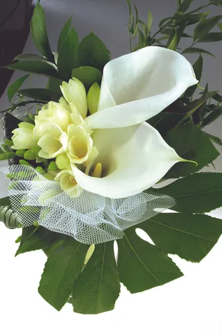 鲜花花束图片下载