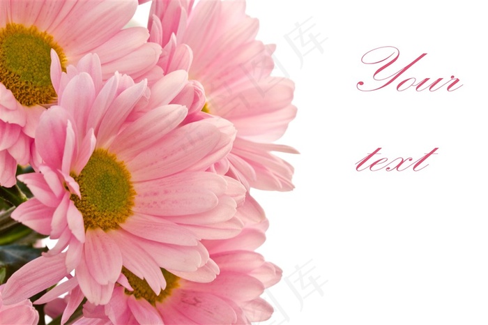 鲜花贺卡设计图片