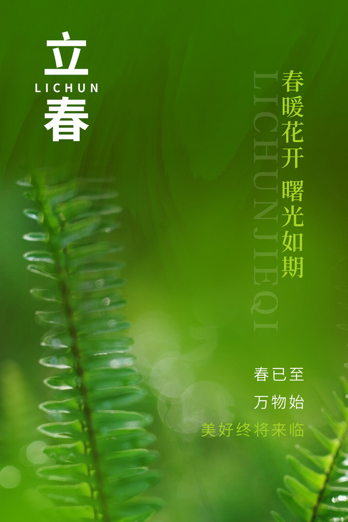 创意立春2月二月春天春季你好24二十四节气广告海报素材设计模板