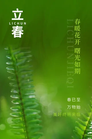 创意立春2月二月春天春季你好24二十四节气广告海报素材设计模板