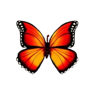 高清免扣蝴蝶素材