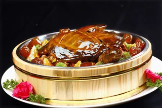 R00516迷踪甲鱼 (6)