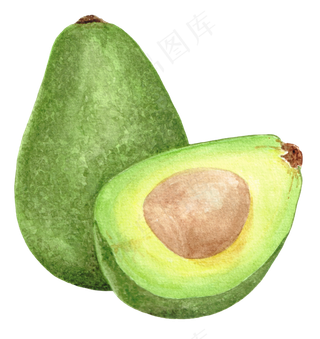 手绘插画-牛油果
