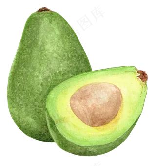 手绘插画-牛油果