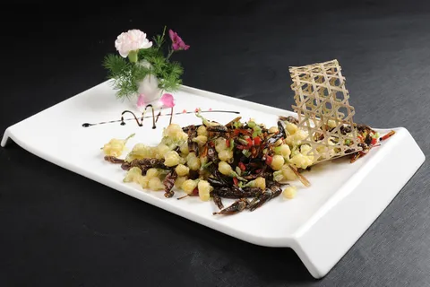 CXC03169茉莉花炒蚂蚱 CXC03169茉莉花炒蚂蚱