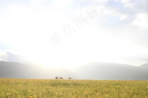 香格里拉草原图片 香格里拉草原图片