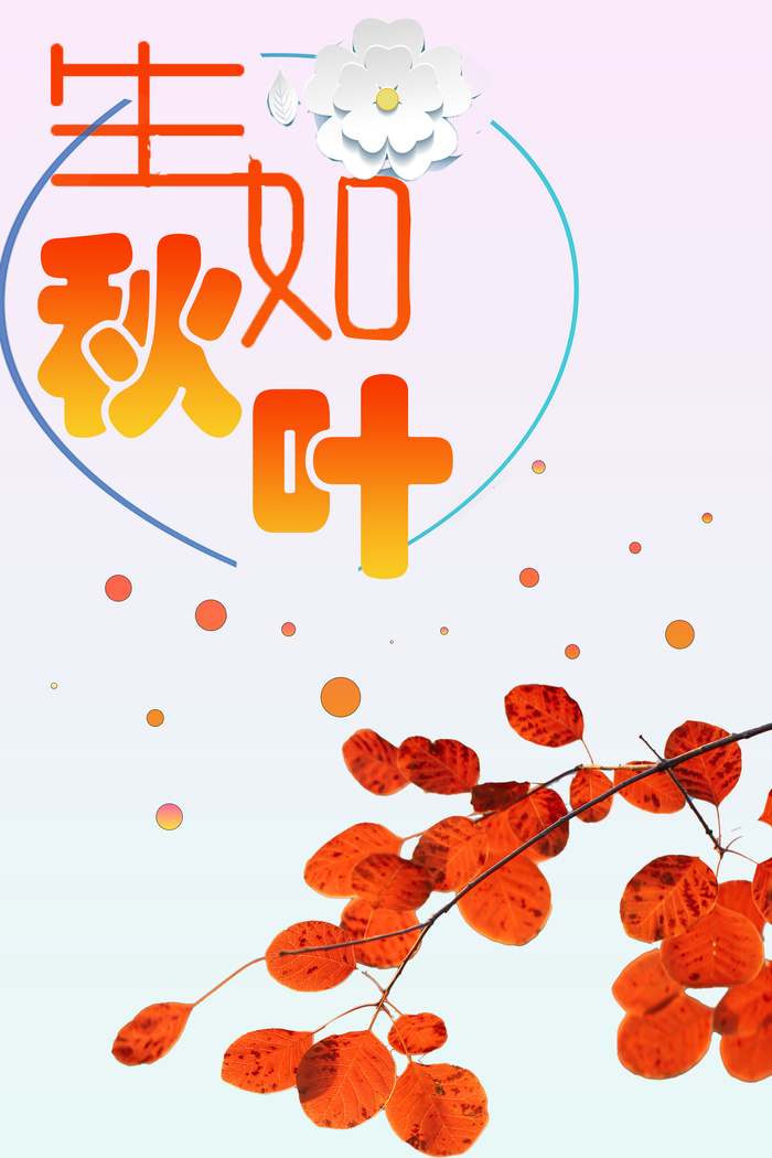 简约风秋叶海报