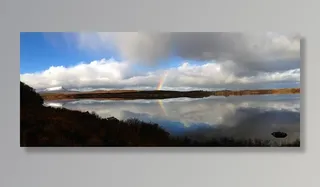 冬天自然背景风景