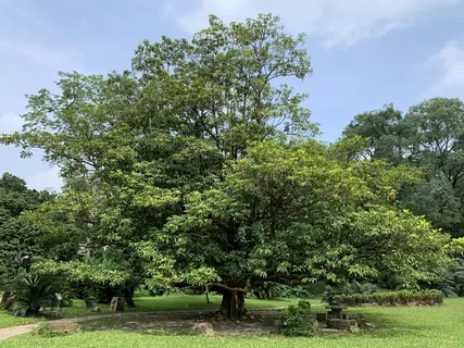 骏马 乡村 美景 山水 摄影 自然景观  骏马 乡村 美景 山水 摄影 自然景观