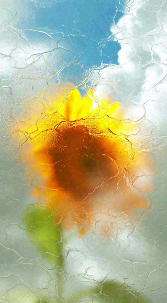 蓝天白云向日葵新鲜黄色花束，清新朦胧(816x1472)