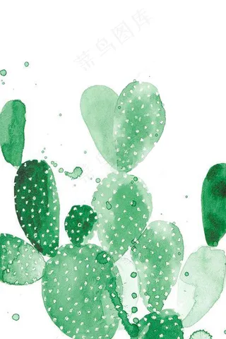 水彩仙人掌艺术插画