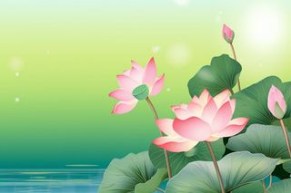 中国风清新绿色荷花荷叶背景