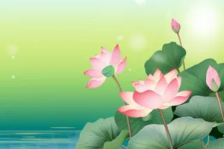 中国风清新绿色荷花荷叶背景