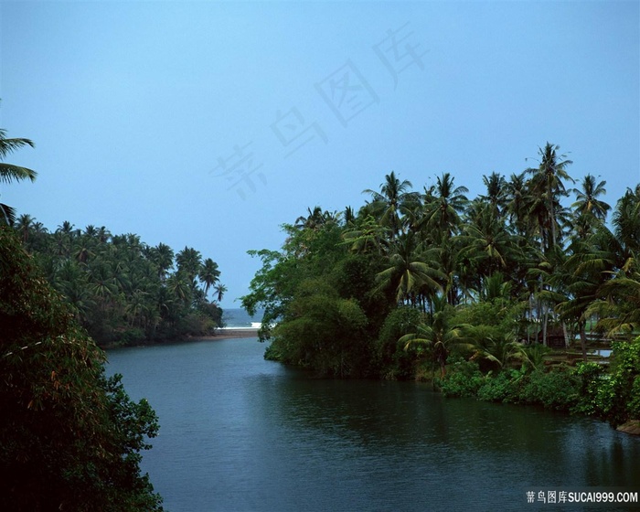 河流树林美景