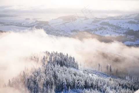 冬季森林雪景图片 冬季森林雪景图片