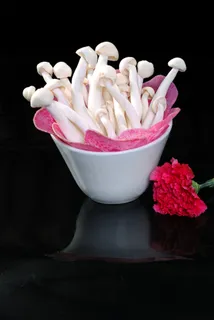 蘑菇香菇金针菇杂菇菌类美食素菜