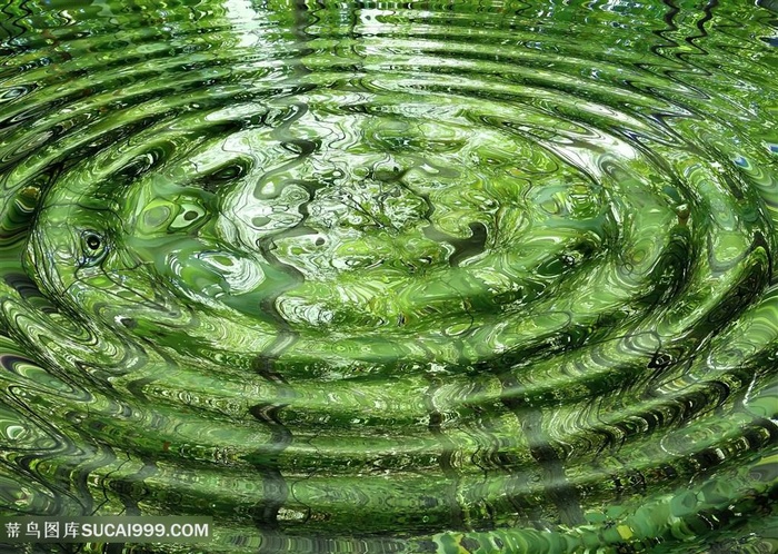 美丽水纹涟漪景色