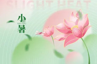 小暑弥散创意荷叶背景