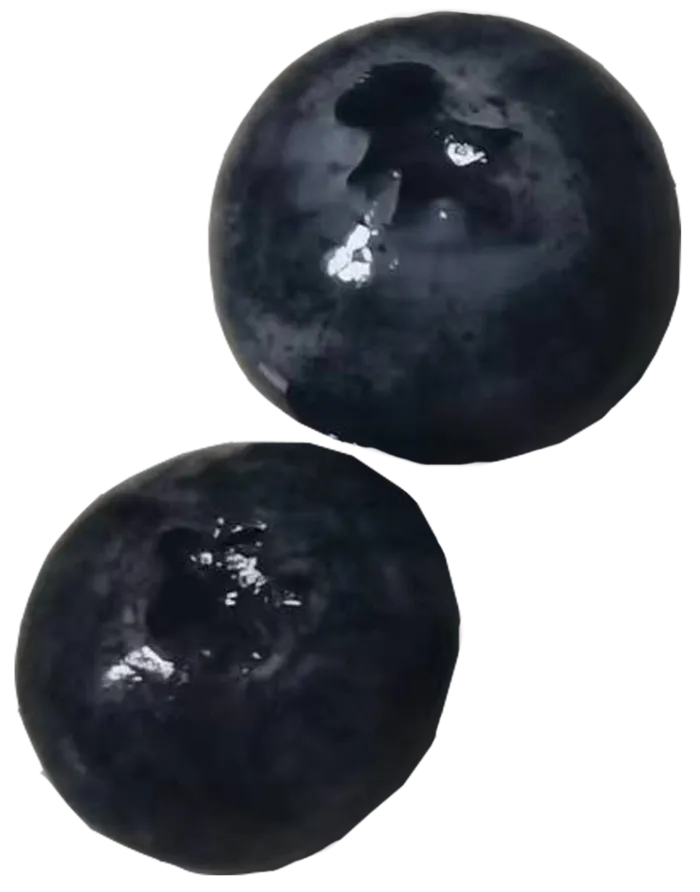 蓝莓颗粒果切免抠实物实拍摄影元素素材psd模版下载