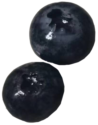 蓝莓颗粒果切免抠实物实拍摄影元素素材