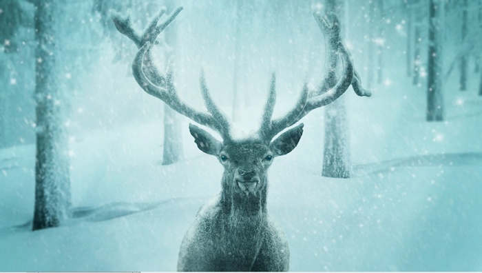 圣诞节雪花风景装饰背景墙