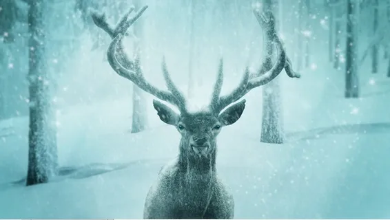 圣诞节雪花风景装饰背景墙