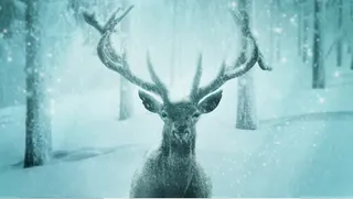 圣诞节雪花风景装饰背景墙