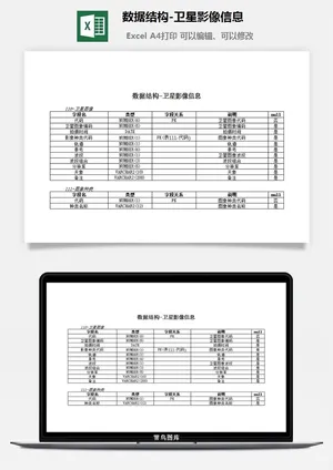 数据结构-卫星影像信息excel模板预览图