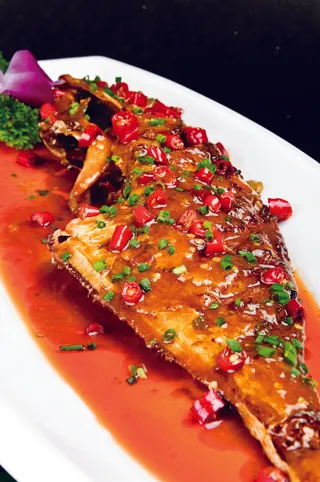 0911XC-679深海剥皮鱼