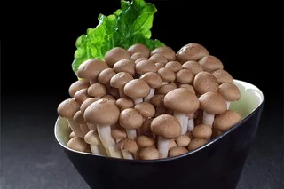 蘑菇香菇金针菇杂菇菌类美食素菜