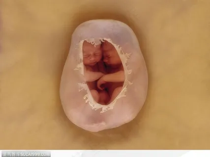 塑料球中熟睡的婴儿