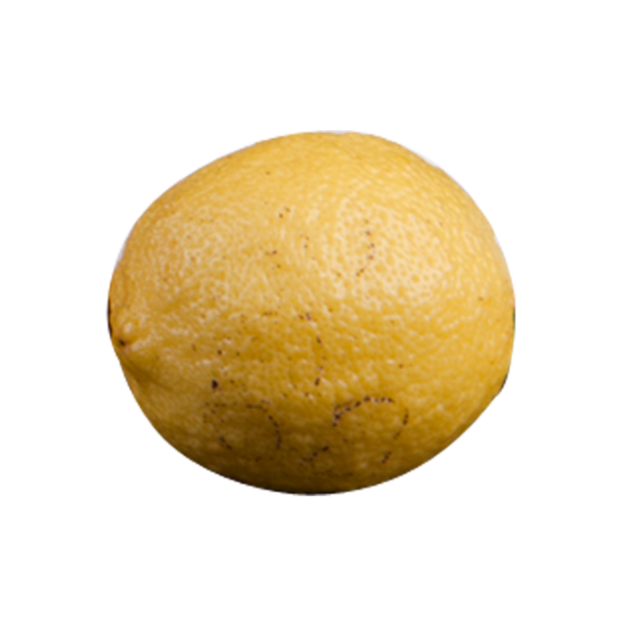 橙子食物免抠素材
