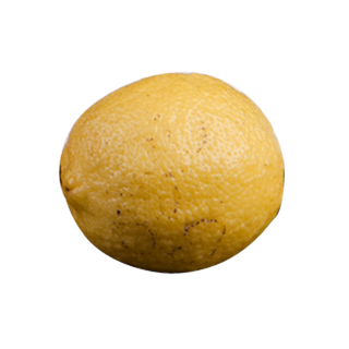 橙子食物免抠素材