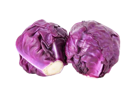 紫甘蓝 (14)超市商品白底图免抠实物摄影png格式图片透明底