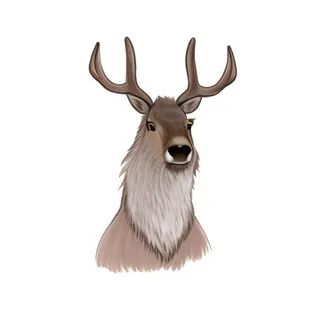 鹿麋鹿动物免抠