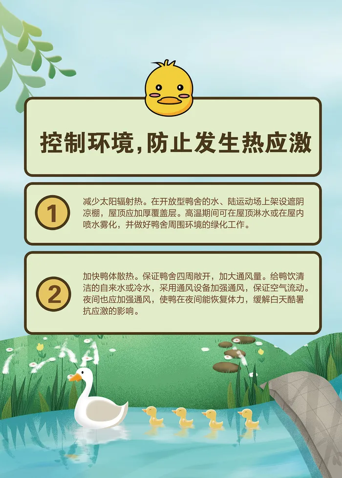 夏季肉鸭饲养管理技术psd模版下载