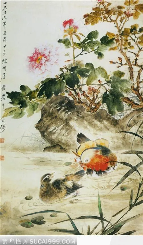 牡丹鸳鸯图