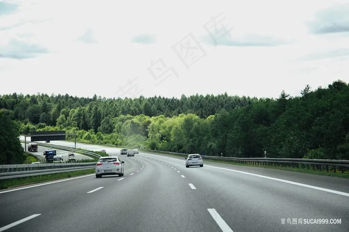 丛林中的高速公路