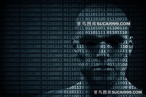 人脸与代码图片