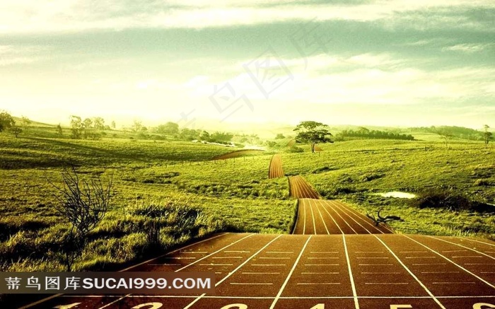 森林公路赛道海报图片
