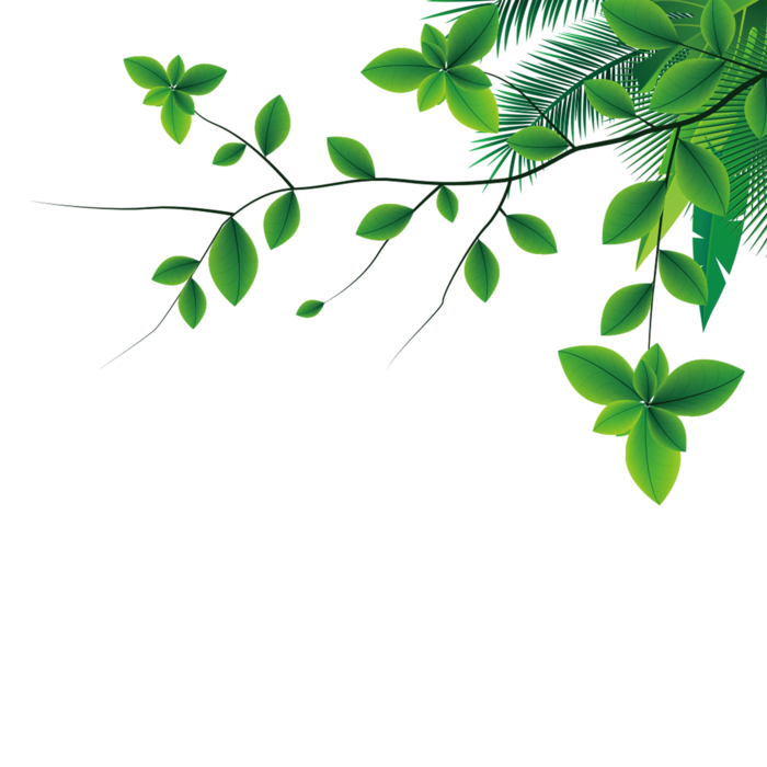 绿色清新手绘植物叶子插画春夏元素