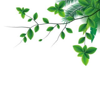 绿色清新手绘植物叶子插画春夏元素