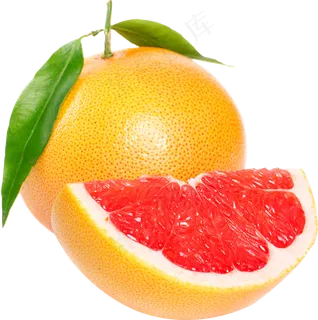 橙子免抠素材 (15)