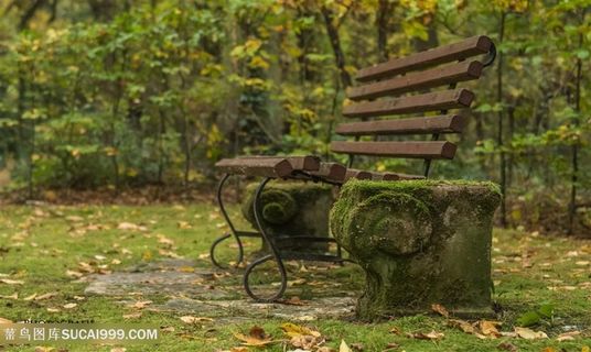 公园中的木长椅图片